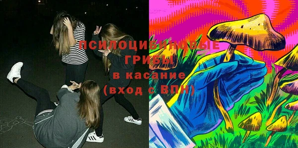 кокс Арсеньев