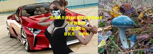 кокс Арсеньев